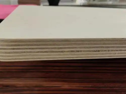 What Are the Top Applications of Full Birch Plywood in Construction?